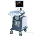Trolley Type 3D Color Doppler with Convex Probe